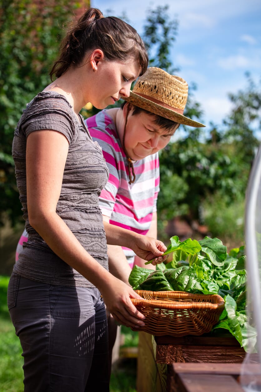 support-worker-with-disabled-woman-picking-fruit